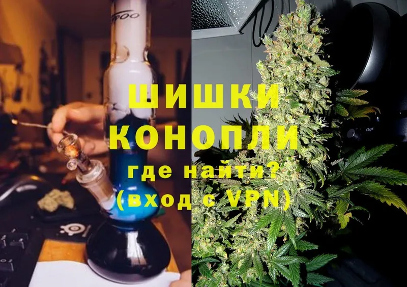 Конопля SATIVA & INDICA  Белокуриха 